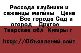 Рассада клубники и саженцы малины › Цена ­ 10 - Все города Сад и огород » Другое   . Тверская обл.,Кимры г.